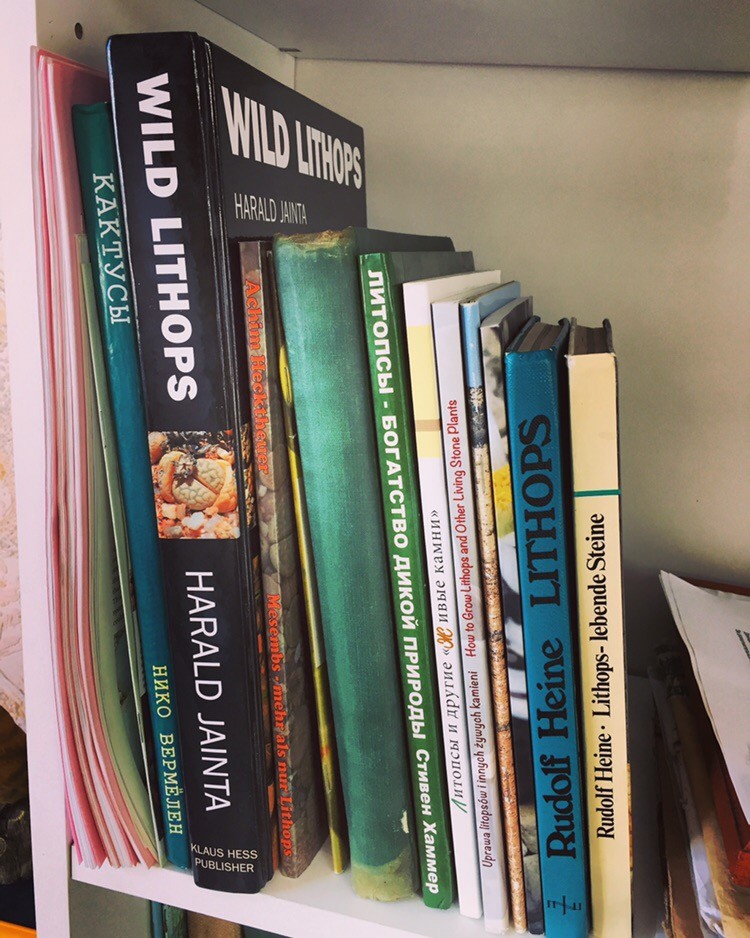 Baza Dannyh Knig Klub Lyubitelej Zhivyh Kamnej