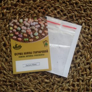 Семена Lithops bromfieldii var. glaudinae C382